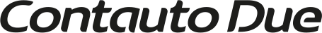 Logo Contauto Due Srl