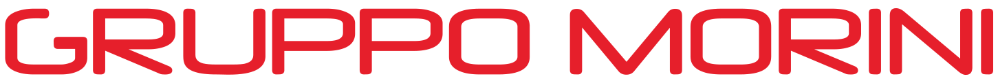 Logo Gruppo Morini