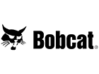 Bobcat